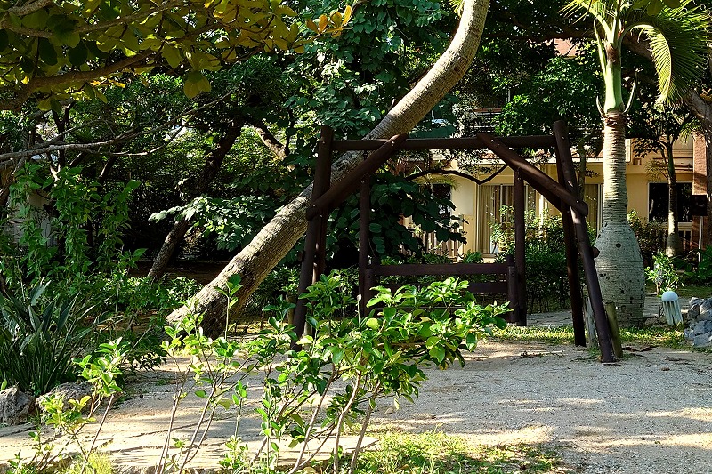 ココガーデンの庭園